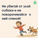 собаки_1